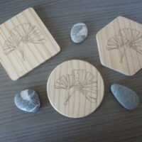 Dessous de tasse en bois – Ginkgo