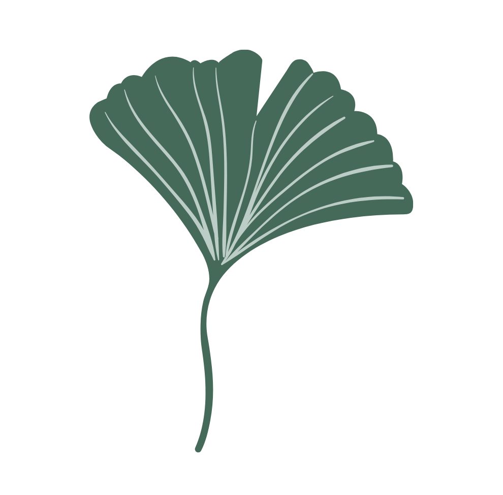 Tasse Ginkgo – Image 3